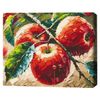 купить Картина по номерам BrushMe BS54166 40x50 cm (în cutie) Mere proaspete в Кишинёве 