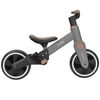 cumpără Bicicletă-cărucior Kikka Boo 31006020164 Tricicleta 5in1 Flash Grey în Chișinău 