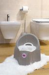 купить Детский горшок OK Baby 38912300 Pasha Gri в Кишинёве 