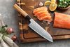 cumpără Cuțit Takumi Hoshibito Santoku Knife (TK-PM8O-RS) în Chișinău 