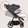купить Детская коляска Lionelo Iva Grey Graphite в Кишинёве 