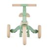 купить Велосипед-коляска Petite&Mars 613480 Tricicleta evolutiva 5in1 Turbo Limited Edition Green Twist в Кишинёве 