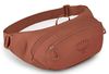 купить Поясная сумка Osprey Daylite Waist porcelain orange hip (810165743359) в Кишинёве 