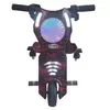 купить Велосипед Hausberg HB-KD04RS tricicleta electrica copii в Кишинёве 