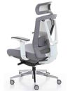 купить Кресло ERGO CHAIR  grey в Кишинёве 