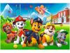 купить Головоломка Trefl 17375 Puzzles 60 Paw Patrol on the grass, Viacom PAW Patrol в Кишинёве 