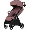 купить Детская коляска Lionelo Ingrid Pink Mauve в Кишинёве 