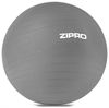 купить Мяч Zipro Gym ball Anti-Burst 75cm Gray в Кишинёве 