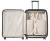 купить Чемодан Samsonite Paralux Hs Sp81/30 TSA Exp Verde (157872/1633) в Кишинёве 