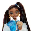 cumpără Păpușă Barbie HYC22 Brooklyn cu accesorii în Chișinău 