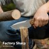 купить Нож походный Sencut S24036-3 Toxodon, G10, teacă Kydex в Кишинёве 