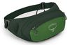 купить Поясная сумка Osprey Daylite Waist green belt/green canopy hip (843820184372) в Кишинёве 