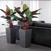 купить Цветочный горшок Lechuza Cubico Premium 40, Taupe в Кишинёве 