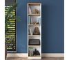 купить Офисный стеллаж Rani HC111 White Walnut в Кишинёве 