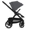 купить Детская коляска Lionelo Carucior 2in1 Carmine Grey Stone в Кишинёве 