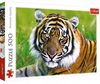 cumpără Puzzle Trefl 37397 Puzzle 500. Tigru în Chișinău 