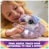 купить Мягкая игрушка Hatchimal 6069525 Interactive Toy Puppadee в Кишинёве 