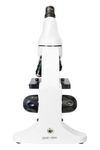 cumpără Microscop Levenhuk Rainbow 50L Moonstone în Chișinău 