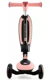 купить Самокат KinderKraft HALLEY KRHALL00PNK0000 ROSE PINK в Кишинёве 