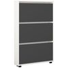 купить Полка для обуви Mobildor-Lux Leo Slim 90x16x125H cm White/Anthracite в Кишинёве 