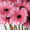 Gerbera roz pret/buc.