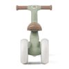 cumpără Bicicletă Petite&Mars 614877 Bicicleta 3in1 Bingo Sage Leaf în Chișinău 