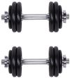 купить Гантель inSPORTline 3582 Set gantere + haltere cu valiza 50 kg 9364 в Кишинёве 