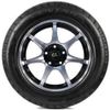 купить Шина Centara Winter RX621 205/55 R16 91T в Кишинёве 