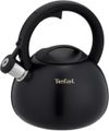 купить Чайник Tefal N4180410 Duetto+ 2,5l в Кишинёве 