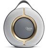 купить Колонка портативная Bluetooth Devialet Mania Opera de Paris в Кишинёве 