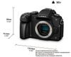 cumpără Aparat foto mirrorless Panasonic DMC-G80EE-K în Chișinău 