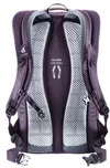 купить Рюкзак городской Deuter Giga lavender-purple в Кишинёве 