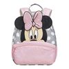 купить Детский рюкзак Samsonite Disney Ultimate 2.0 (106707/7064) в Кишинёве 