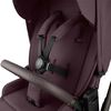 cumpără Сărucior pentru copii Kikka Boo 31001020173 Carucior 2in1 Goya Platinum Merlot în Chișinău 