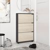 купить Полка для обуви Mobildor-Lux Leo Slim 60x16x125H cm Anthracite/Sonoma в Кишинёве 