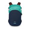 cumpără Rucsac pentru oraș Osprey Nebula 32 Reverie Green/Cetace în Chișinău 