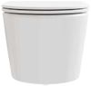 cumpără Vas WC Ravak Flow RimOff set white X01985 în Chișinău 