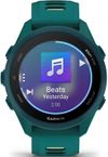 cumpără Ceas inteligent Garmin Forerunner 170 Music, GPS, WiFi, Teal Green/Citron, WW (010-03920-12) în Chișinău 