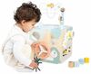 cumpără Sortator Janod J04060 Cub cu activitati Sweet Cocoon în Chișinău 
