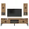 купить Тумба напольная для TV Trendy Samba, Nuc 180x52x35cm в Кишинёве 