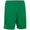 купить Одежда для спорта Joma Short Nobel Green (L) 100053.450 в Кишинёве 