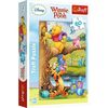 купить Головоломка Trefl 17264 Puzzles 60 A little something Disney Winnie the Pooh в Кишинёве 