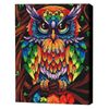 cumpără Tablou pe numere BrushMe BS52241FC (fără cutie) Bufniță înțeleaptă în culori de curcubeu în Chișinău 