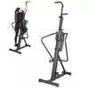 купить Степпер inSPORTline 6184 Stepper (136 kg) Vertical 21964 Verticon Home в Кишинёве 