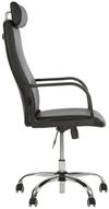 купить Офисное кресло Nowystyl 41170704 DIPLOMAT HR Chrome Eco-30 в Кишинёве 