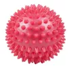 cumpără Dispozitiv de masaj mecanic inSPORTline 3003 Minge masaj 8 cm IN416 red în Chișinău 