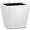 cumpără Ghiveci pentru flori Lechuza Quadro Premium 21 LS, White în Chișinău 