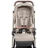 купить Детская коляска Peg Perego IP28000000GM26 Vivace Astral в Кишинёве 
