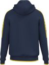 купить Одежда для спорта Joma Olimpiada Zip-Up Hoodie Navy Yellow (L) 103707.339 в Кишинёве 