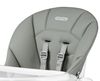 купить Стульчик для кормления Peg Perego Tatamia Ice в Кишинёве 